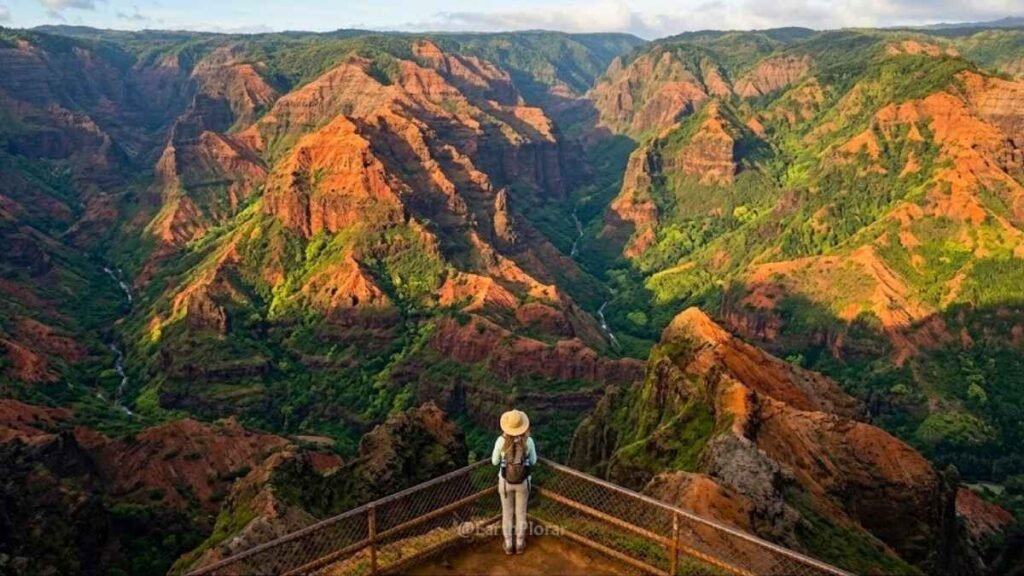 Hiker at a Waimea Canyon overlook gazing into the 3,600-foot deep red and green canyon in Kauai, Hawaii
